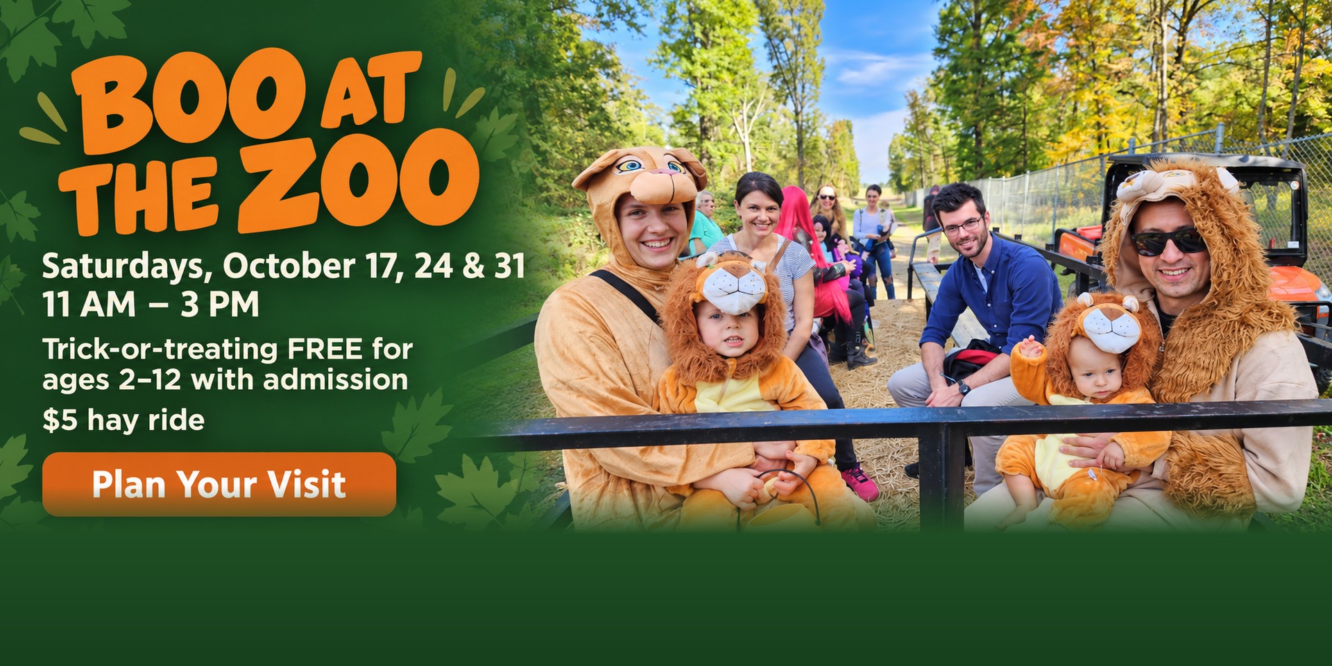 Boo at the Zoo at Plumpton Park Zoo, Saturdays October 17, 24 and 31, 11 AM to 3 PM: families in lion costumes on the hay ride
