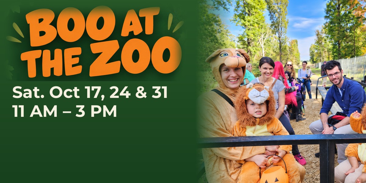 Boo at the Zoo at Plumpton Park Zoo, Saturdays October 17, 24 and 31, 11 AM to 3 PM