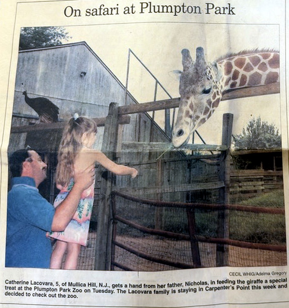 Cecil Whig front page from 27 August 2003 showing Nicholas Lacovara lifting his five-year-old daughter Catherine to feed a giraffe at Plumpton Park Zoo